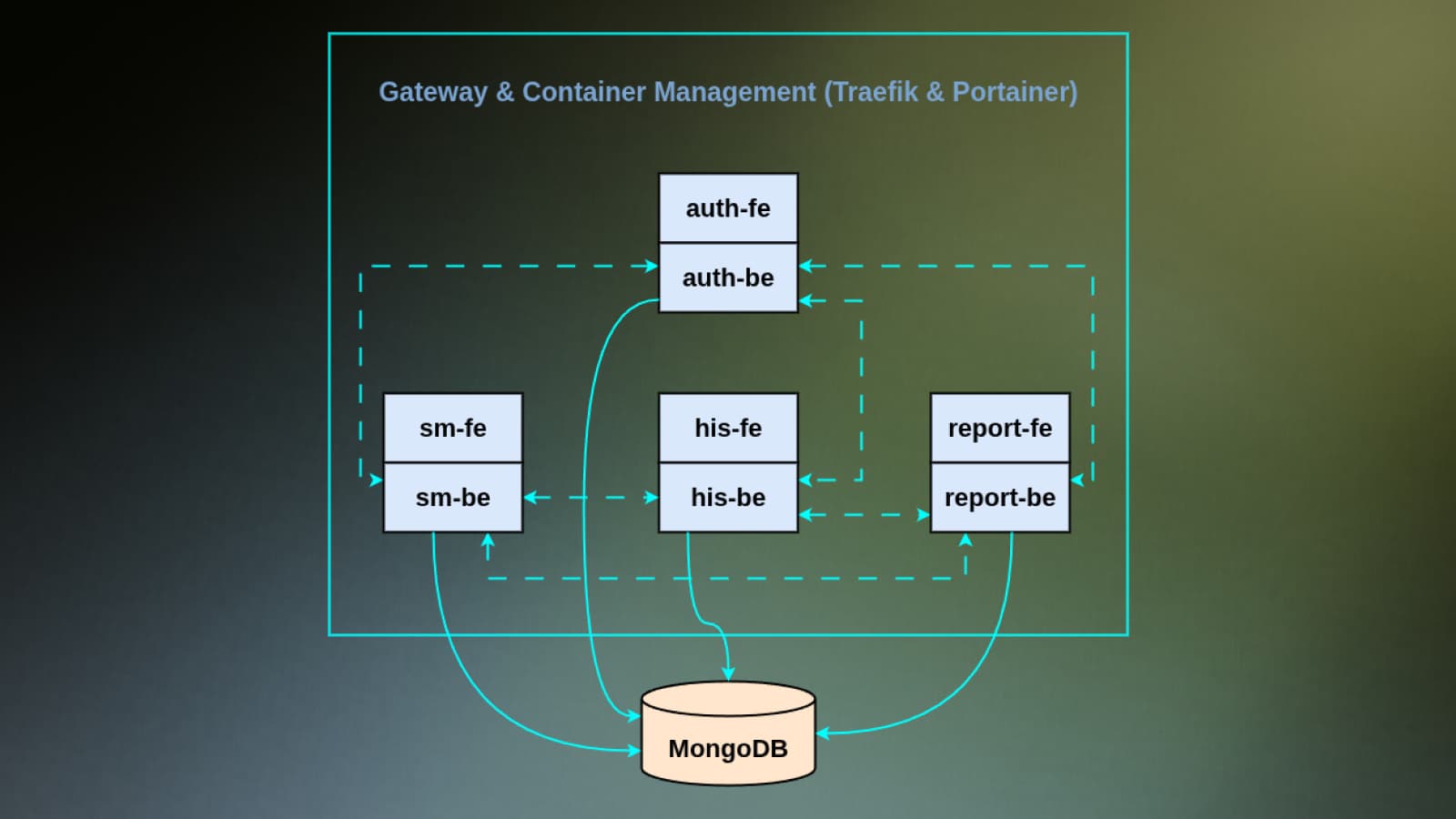 Hospital Information System (HIS)